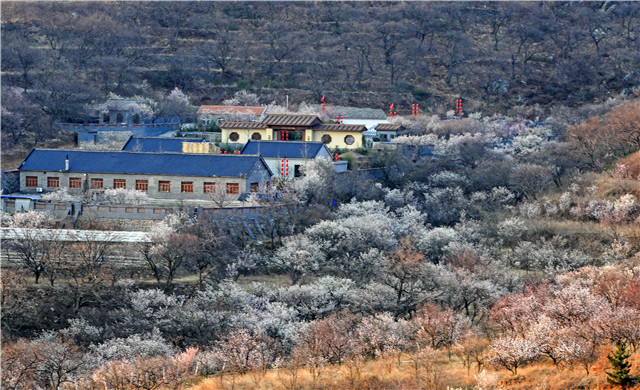 pg麻将胡了试玩平台 9.9元！西海岸万张门票特价抢购，涉大珠山、琅琊台等十大景区