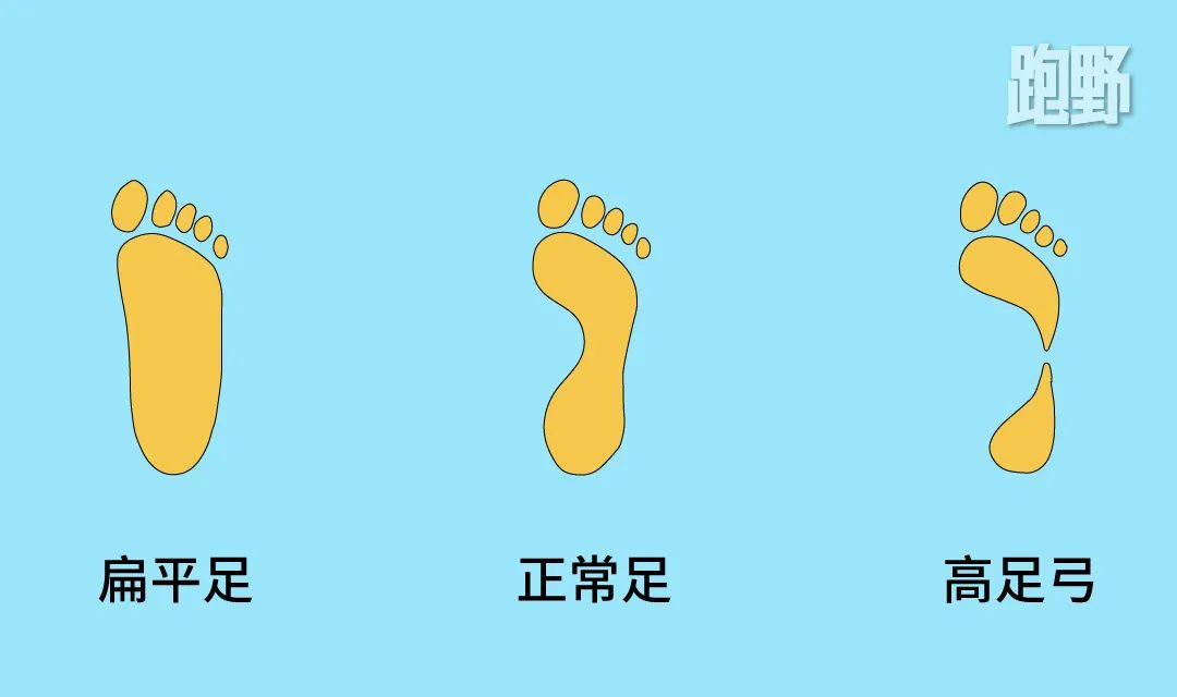 跑步机品牌选择_跑步机什么牌子好 百度知道_品牌跑步机质量排名