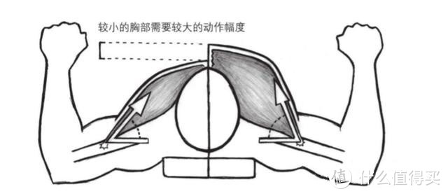 胸部位置相对于手臂位置更高,发力方向就会越接近于垂直