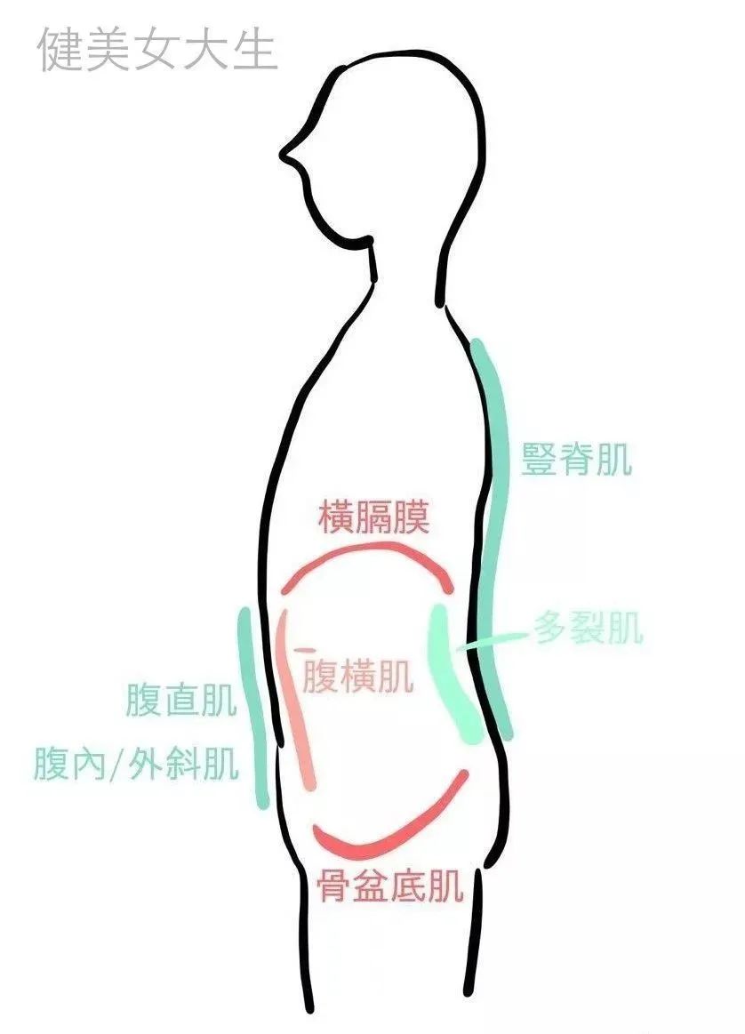做力量训练时呼吸方法_呼吸力量训练感悟_呼吸与力量训练的配合