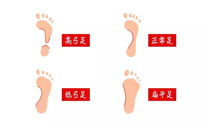 网上买什么牌子跑步机好?_网上跑步机质量怎么样_网上跑步机什么牌子好