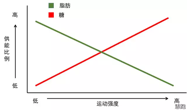 kaiyun官方网app下载app 跑步减肥：一次究竟需要跑多久？