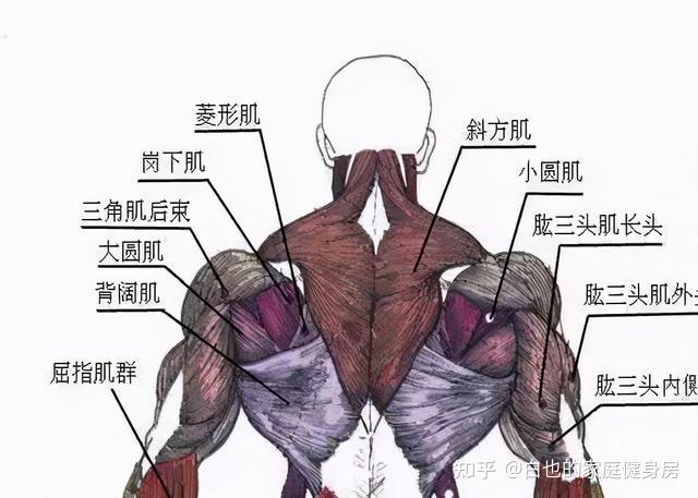 手套材质健身好不好_健身手套什么材质好_健身手套选择