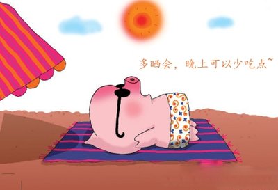 哈尔滨减肥营有哪些