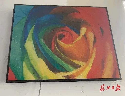 问鼎赏金女王pg官网入口下载手机版安 可从小区35楼速降而下，这个逃生器靠谱吗？专家这样说