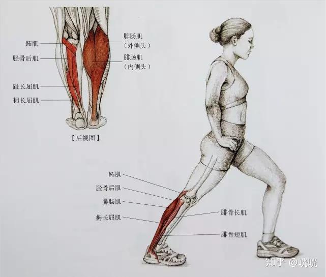 瘦腿训练方法_瘦腿操练视频_脂肪腿改善法