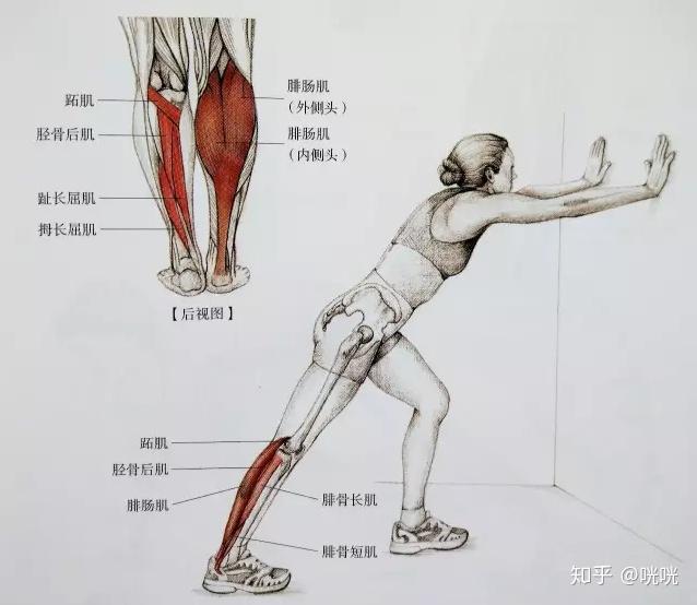 瘦腿操练视频_瘦腿训练方法_脂肪腿改善法