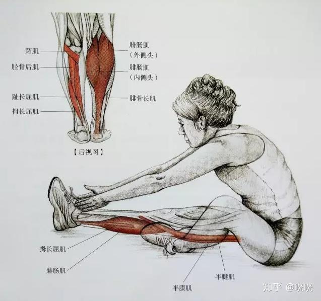 脂肪腿改善法_瘦腿训练方法_瘦腿操练视频