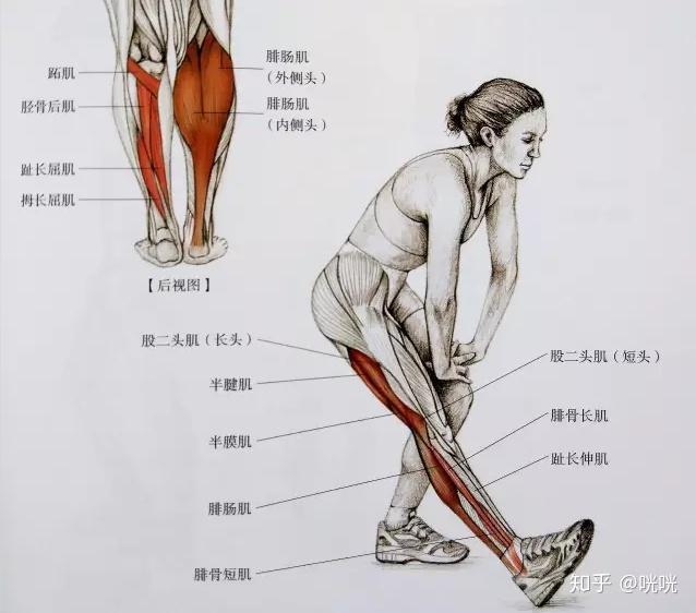脂肪腿改善法_瘦腿训练方法_瘦腿操练视频