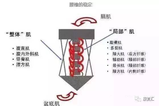 pg麻将胡了试玩平台 悬吊训练（SET）康复原理及临床应用