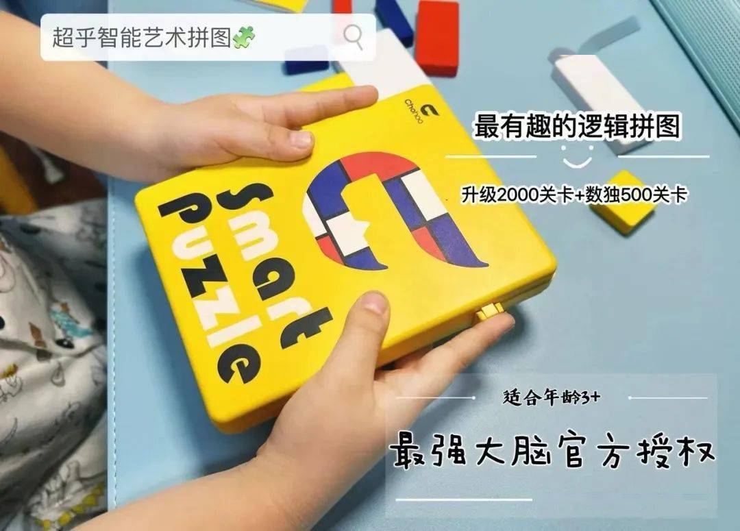 最强大脑官方授权益智玩具_超乎智能逻辑拼图_儿童注意力训练迷宫图