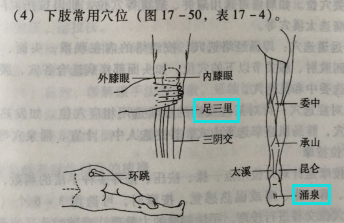 体育保健学 维生素 分类 心肺复苏_运动保健手法的基本要求