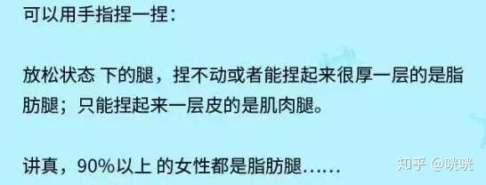 瘦腿操下载_脂肪腿训练_肌肉腿矫正