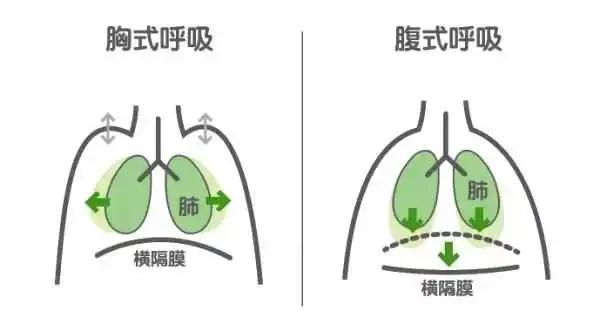 改善睡眠呼吸法_腹式呼吸法对提高注意力的好处_腹式呼吸好处